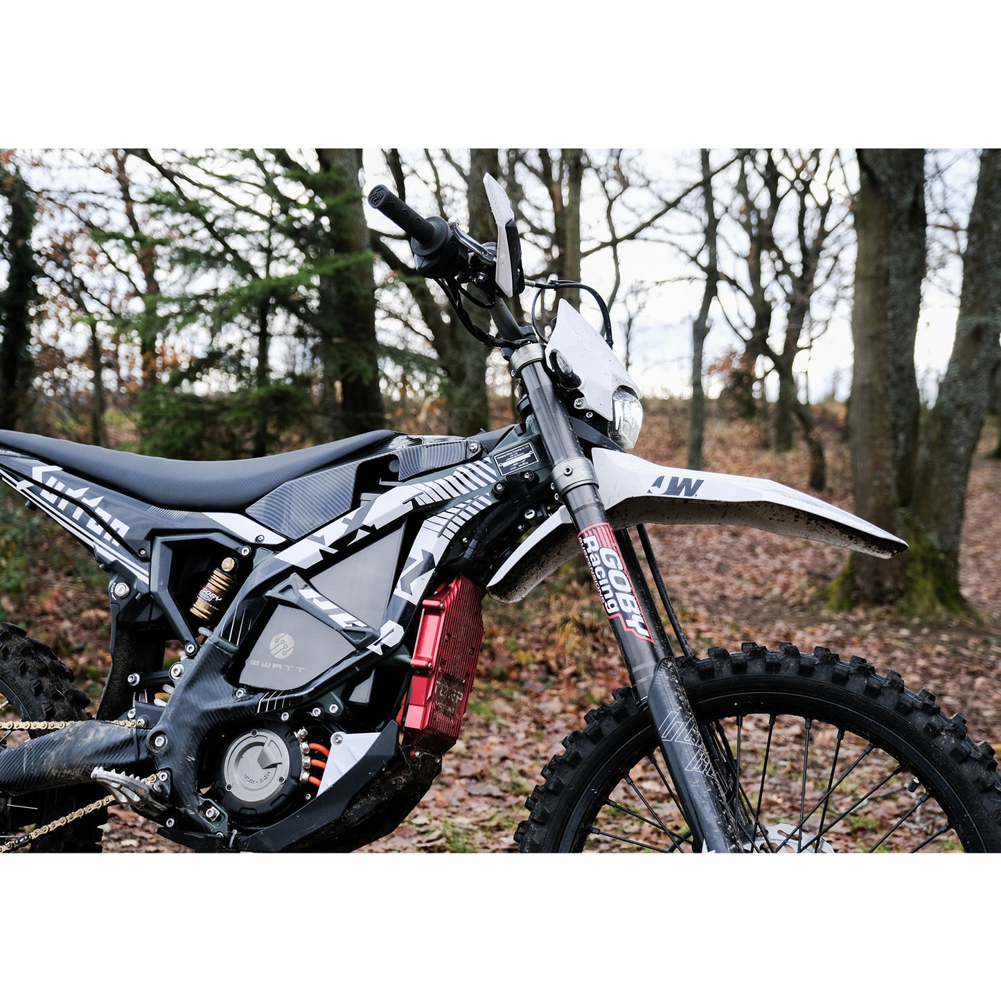 JW'Custom: SUR-RON Ultra Bee / SnowPiercer 18kW